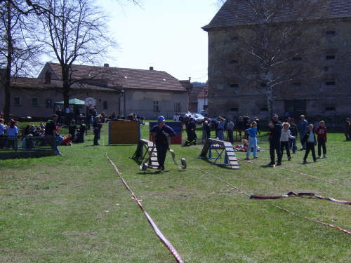IMG_2132.JPG